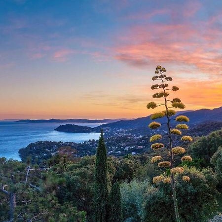 Vistazur Luxueux Appartement Avec Terrasse Et Piscine Le Le Rayol-Canadel-sur-Mer Luaran gambar