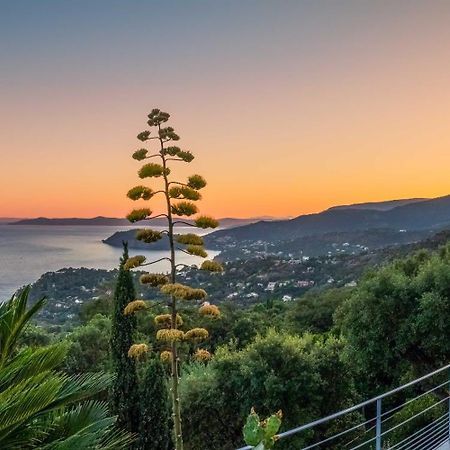 Vistazur Luxueux Appartement Avec Terrasse Et Piscine Le Le Rayol-Canadel-sur-Mer Luaran gambar