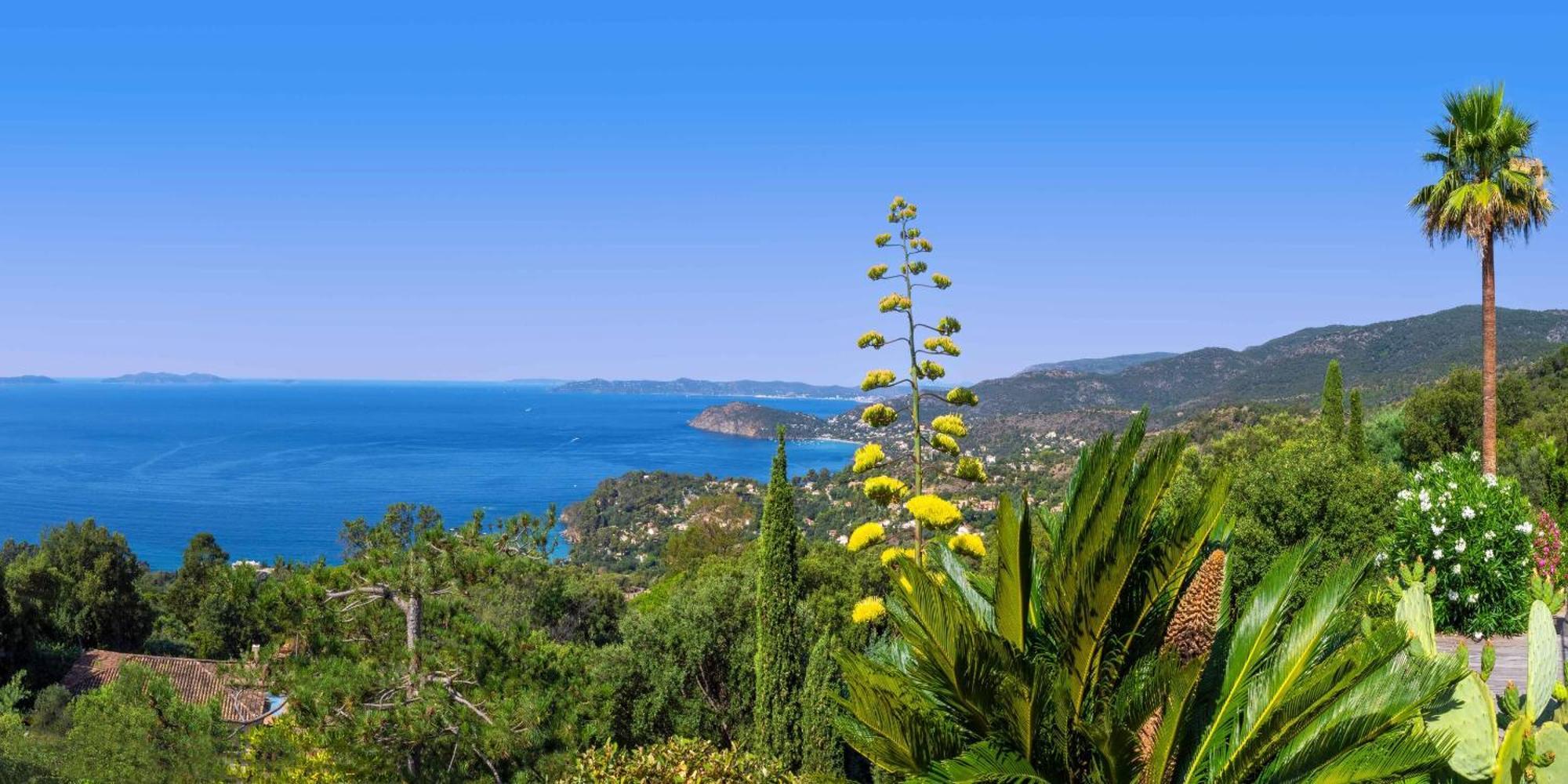 Vistazur Luxueux Appartement Avec Terrasse Et Piscine Le Le Rayol-Canadel-sur-Mer Luaran gambar